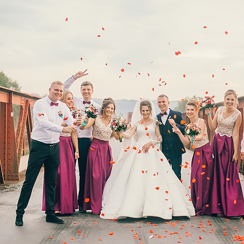 Erkek ve Kadın Ayarlanabilir P - Men'S Formal Wear Bow Ties incelemesi ve fiyatı